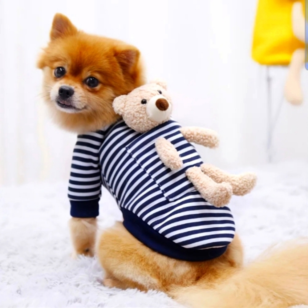 Pet Clothes